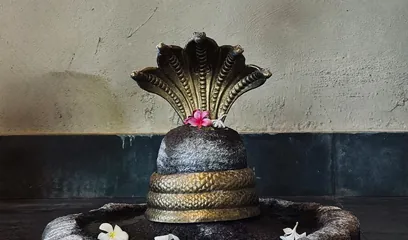 Nag Panchami: a stone shivling under a coiled naga hood