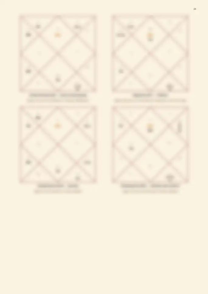 Page 24, blurred — it comes with the report