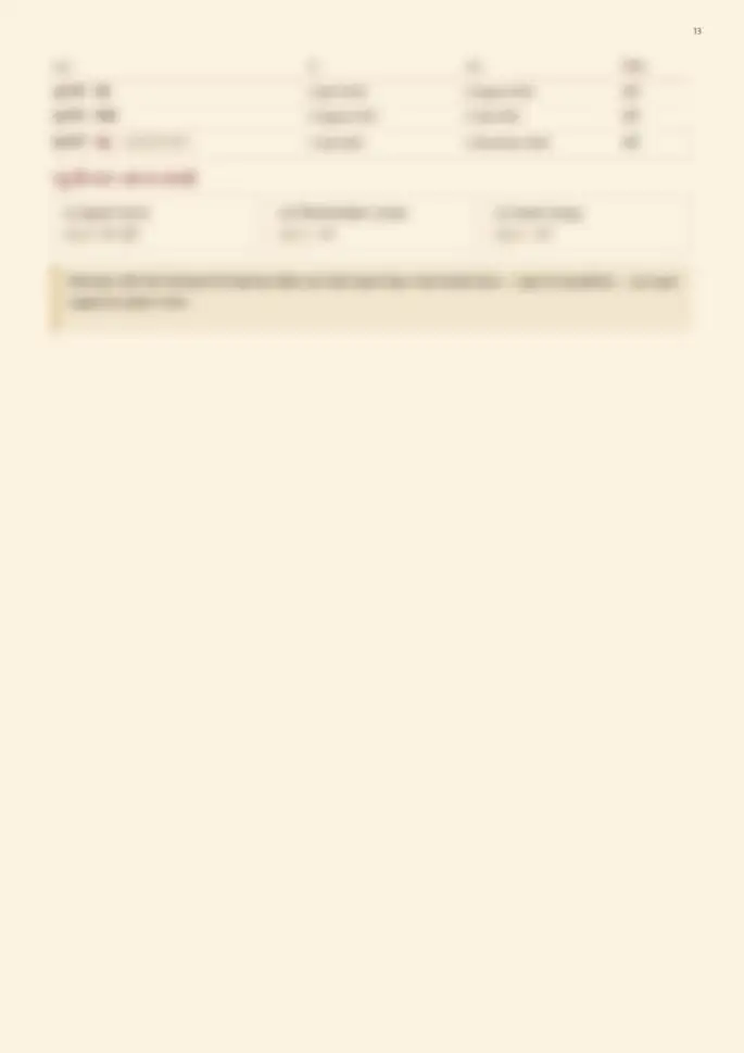 Page 13, blurred — it comes with the report