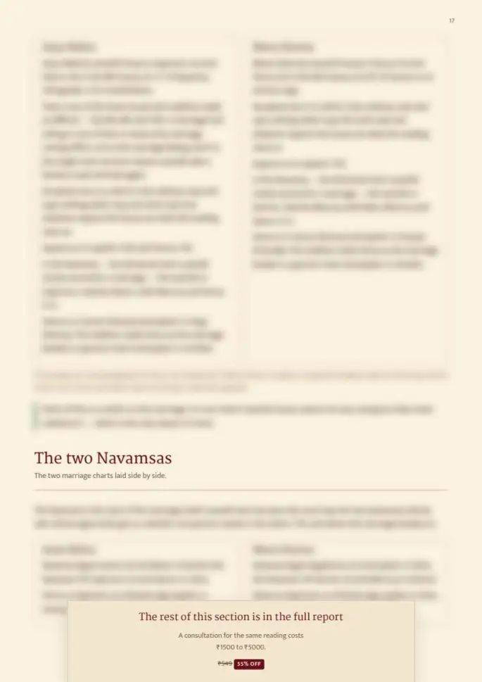 Page 17, blurred — it comes with the report