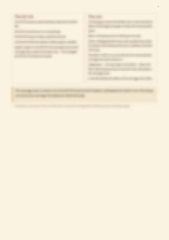 Page 17, blurred — it comes with the report