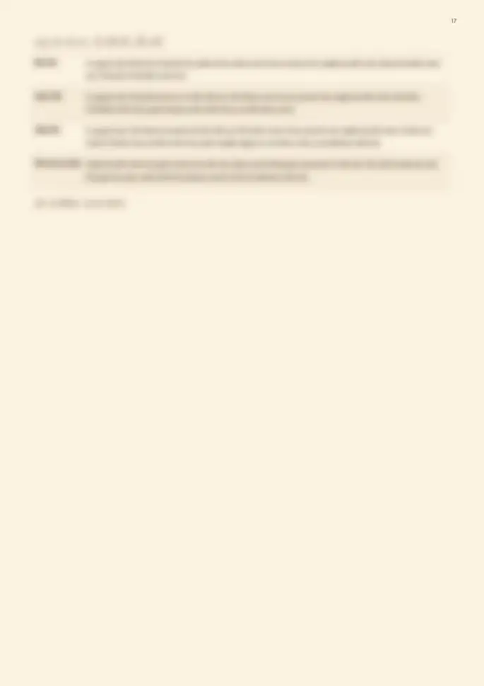Page 17, blurred — it comes with the report