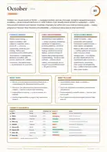 Page 27, blurred — it comes with the report