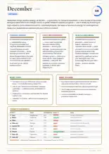 Page 29, blurred — it comes with the report