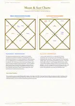 Page 8, blurred — it comes with the report