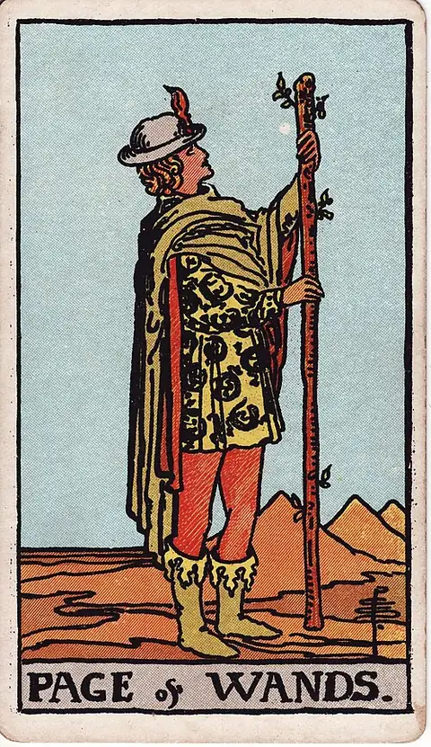 Page of Wands. A young figure in a patterned tunic stands in a desert holding a sprouting staff, looking up at it.