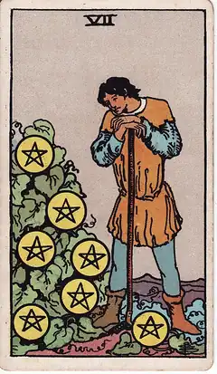 Seven of Pentacles. A young man leans on his hoe looking at seven pentacles growing on a leafy bush.